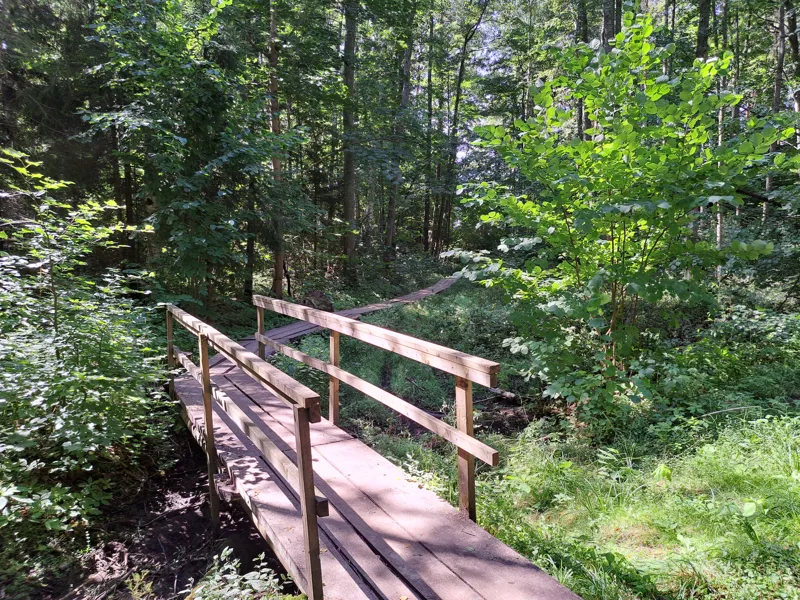 Apbūves zeme „Nēģi” otrajā līnijā no jūras, Duntē