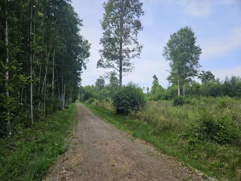 Apbūves zeme „Nēģi” otrajā līnijā no jūras, Duntē