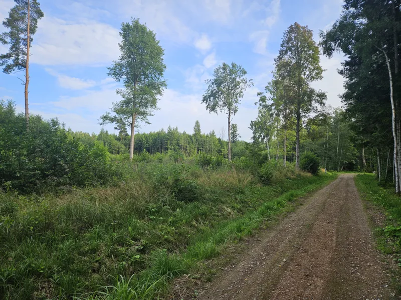 Apbūves zeme „Nēģi” otrajā līnijā no jūras, Duntē